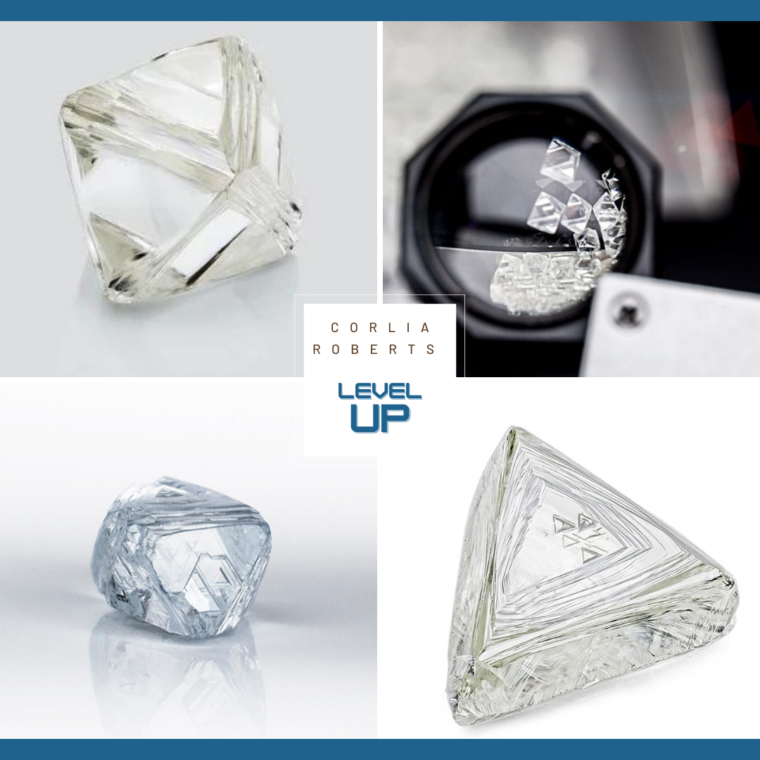 Course Fees Corlia Roberts Institute of Diamonds