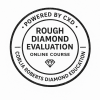 rough-diamond-evaluation-online -course