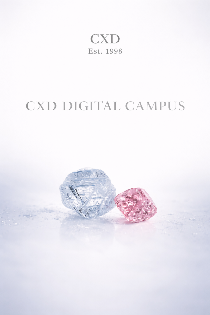 rough-diamond-digital-course